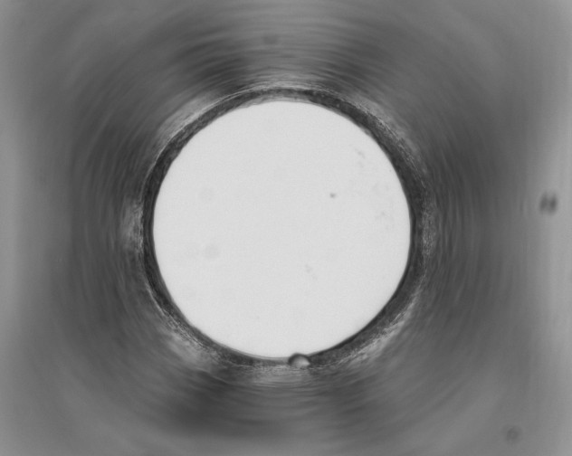 X0000096201113200802151519