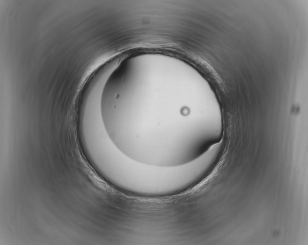 X0000096201114200802151519