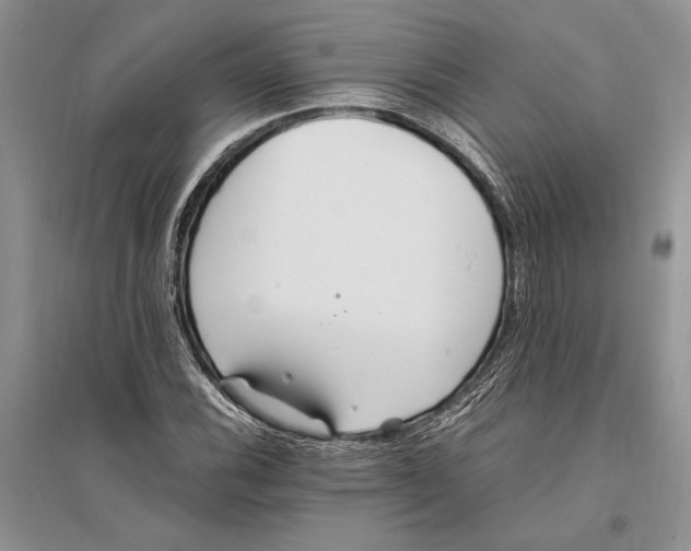 X0000096201116200802151519