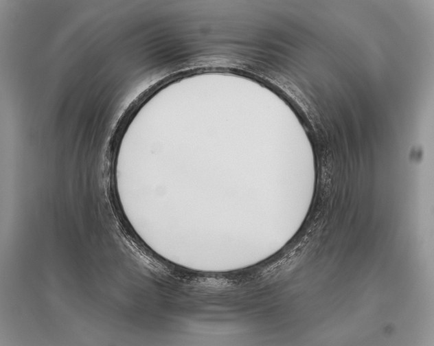 X0000096201119200802151519