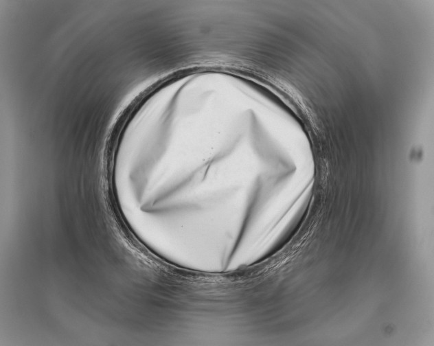 X0000096201120200802151519