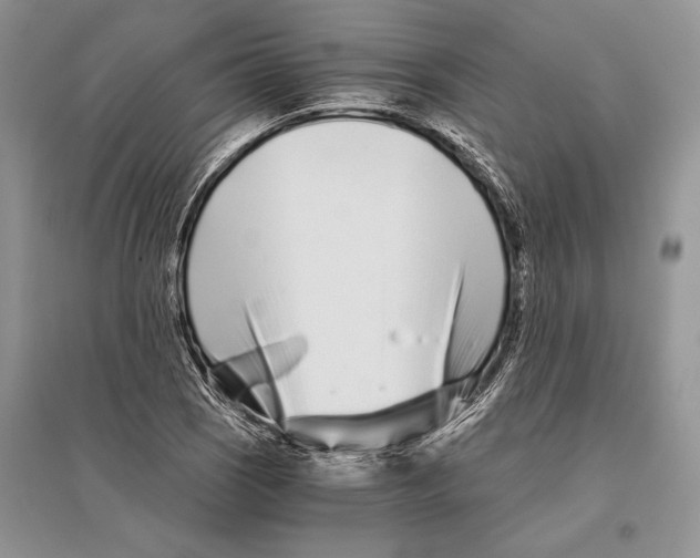 X0000096201121200802151519