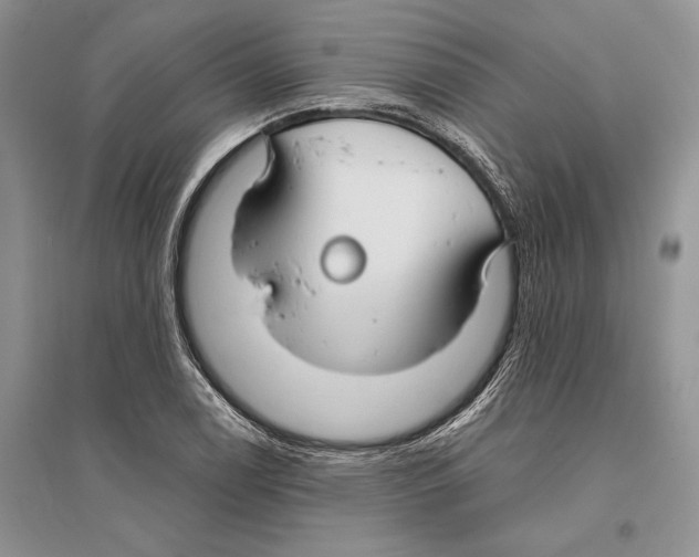 X0000096201122200802151519