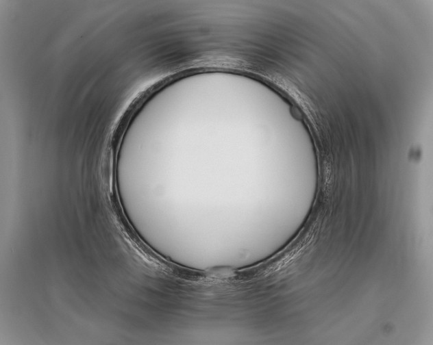 X0000096201123200802151519