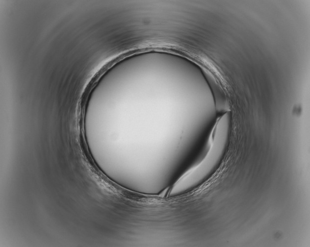 X0000096201124200802151519