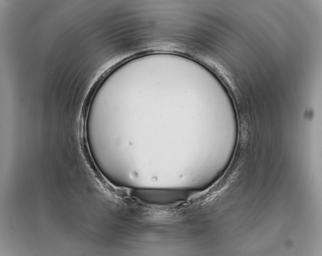 X0000096201125200802151519