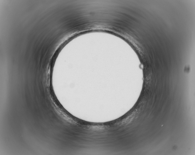 X0000096201126200802151519