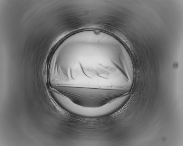 X0000096201127200802151519