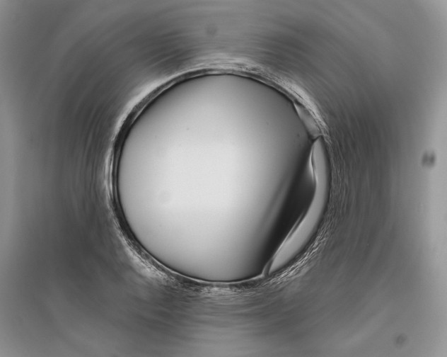 X0000096201128200802151519