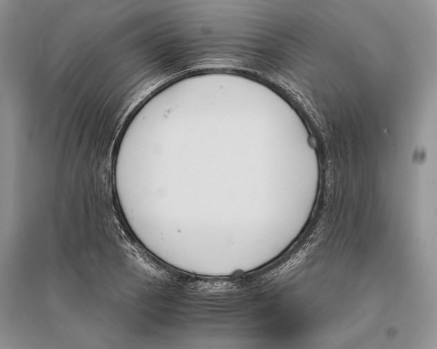 X0000096201129200802151519