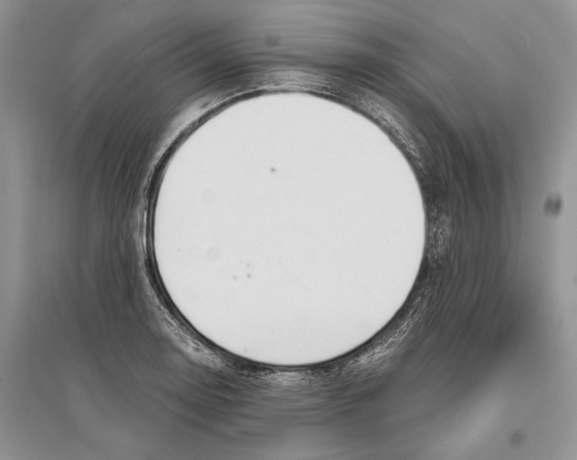 X0000096201130200802151519