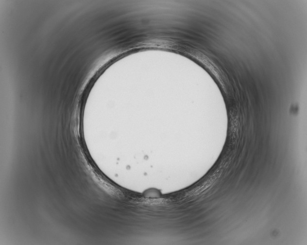 X0000096201131200802151519