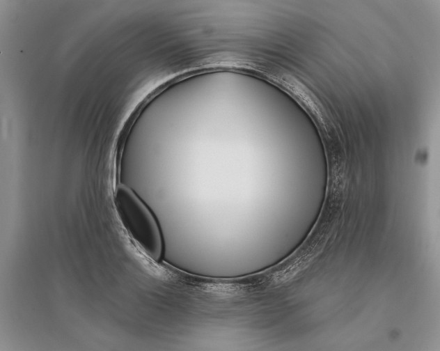 X0000096201132200802151519