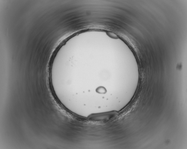 X0000096201133200802151519