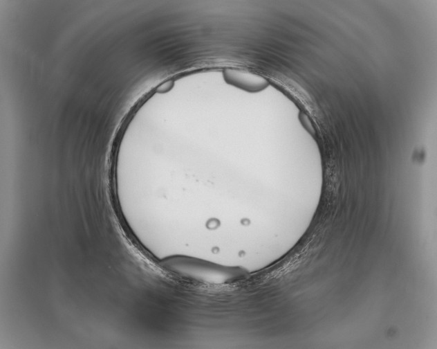 X0000096201135200802151519