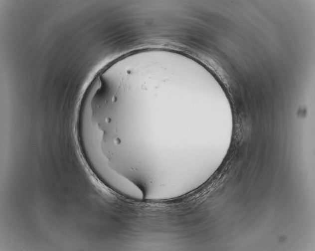 X0000096201136200802151519