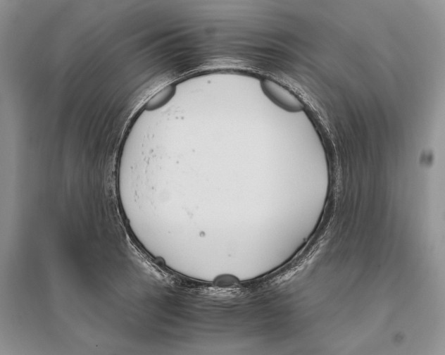 X0000096201137200802151519