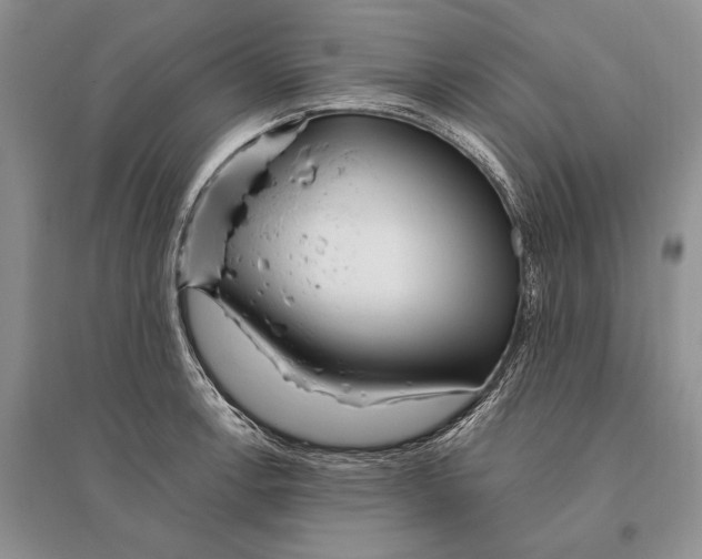 X0000096201138200802151519