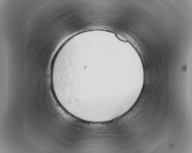 X0000096201140200802151519