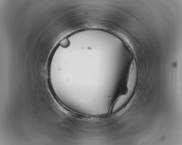 X0000096201141200802151519