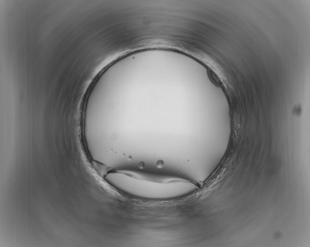 X0000096201142200802151519