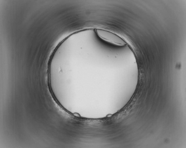 X0000096201143200802151519