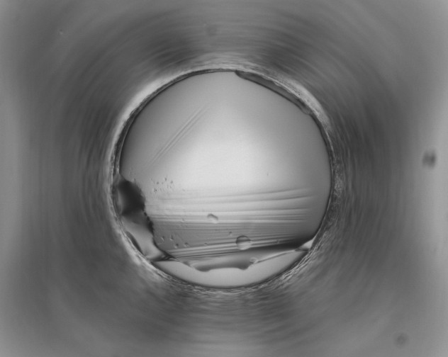 X0000096201144200802151519