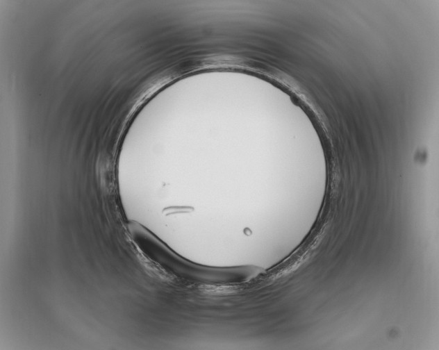 X0000096201145200802151519