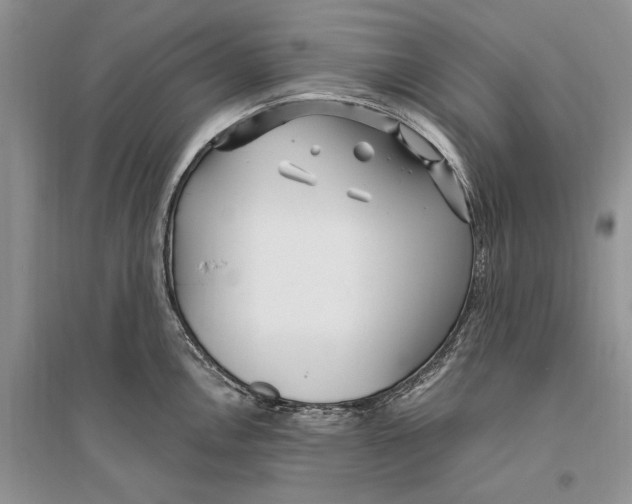 X0000096201146200802151519