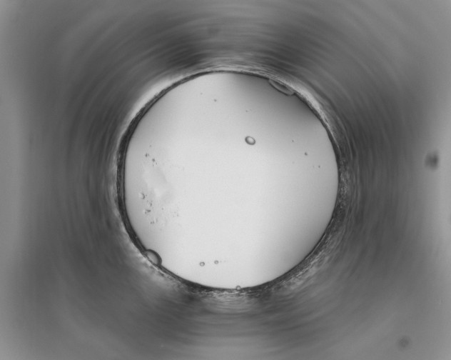 X0000096201147200802151519