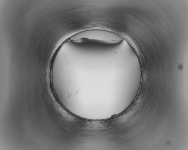 X0000096201149200802151520