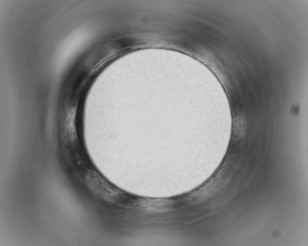 X0000096201150200802151520