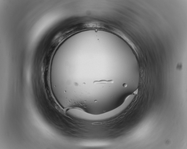 X0000096201151200802151520