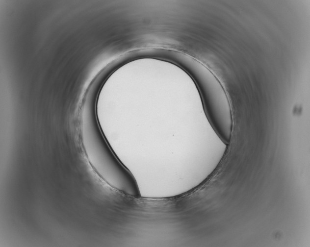 X0000096201152200802151520