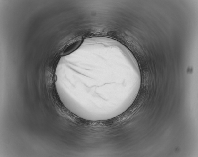 X0000096201154200802151519