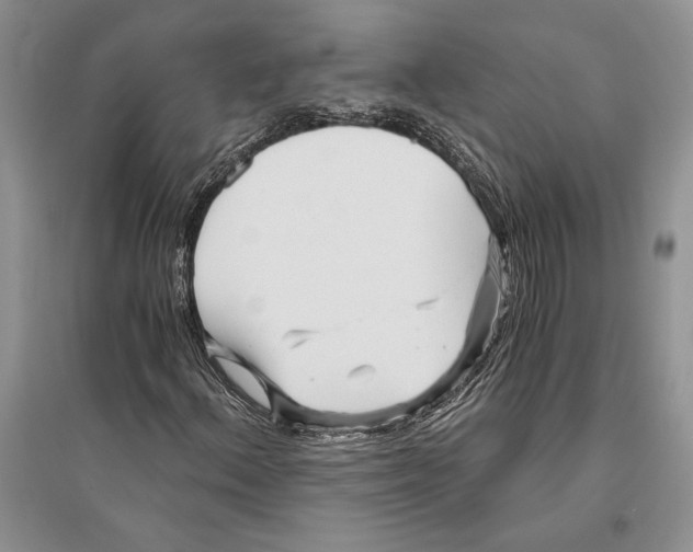 X0000096201156200802151519