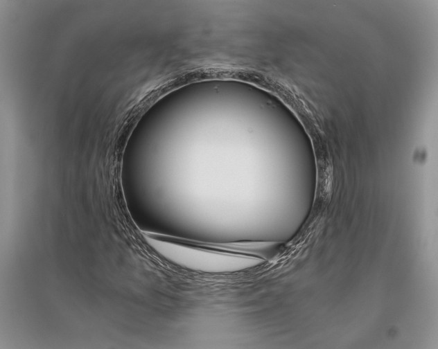 X0000096201157200802151519