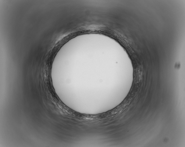 X0000096201158200802151519