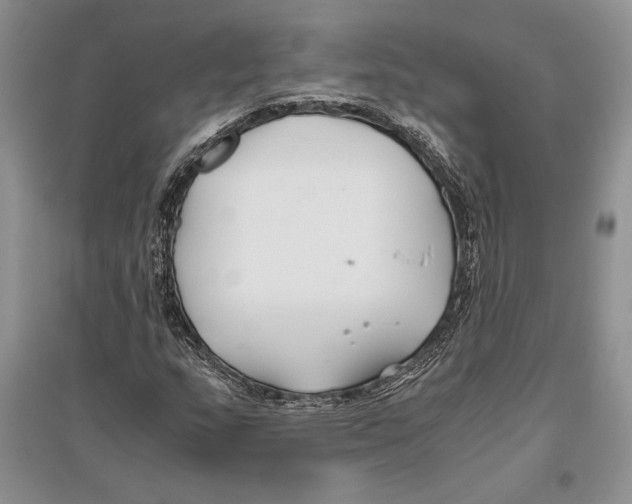 X0000096201159200802151519