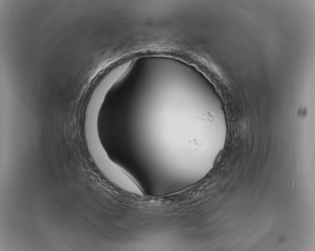 X0000096201160200802151519