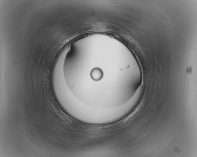 X0000096201161200802151519