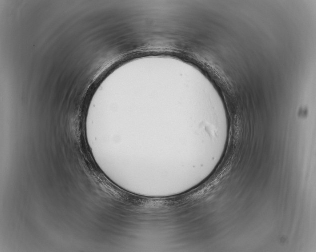 X0000096201162200802151519