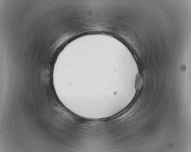 X0000096201163200802151519