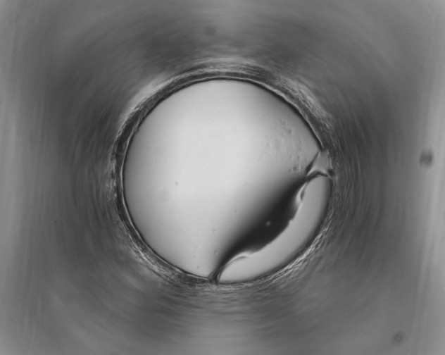 X0000096201164200802151519