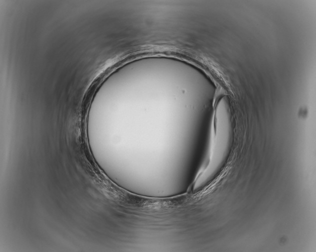 X0000096201165200802151519