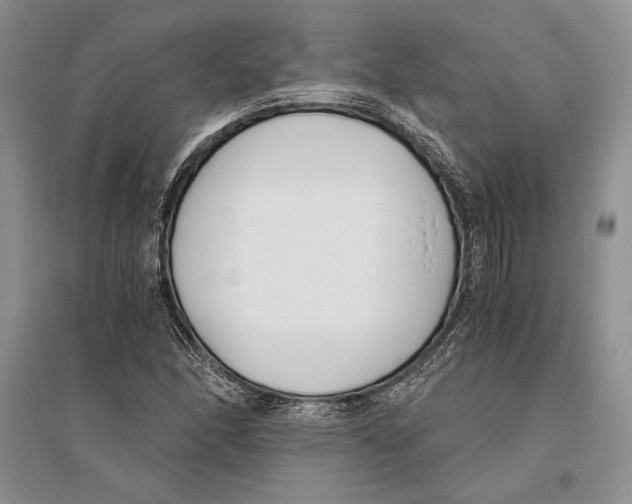 X0000096201166200802151519