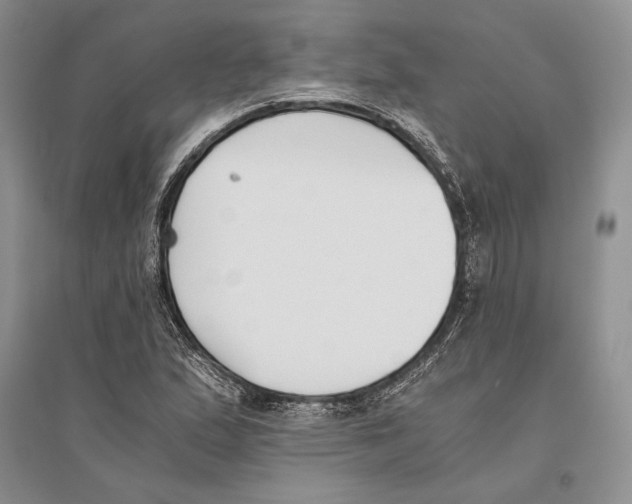 X0000096201167200802151519