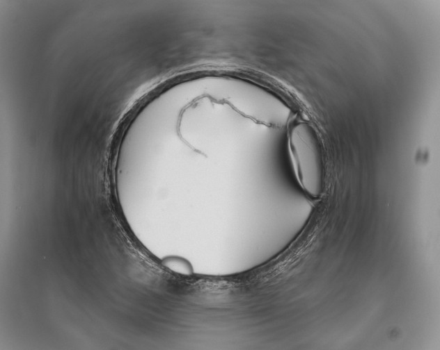 X0000096201168200802151519