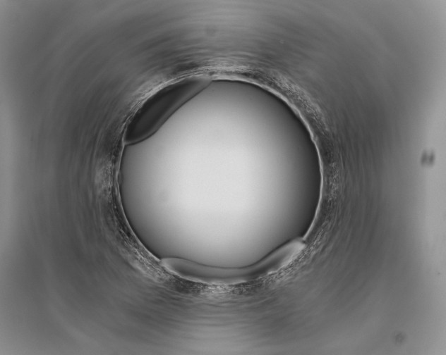 X0000096201169200802151519