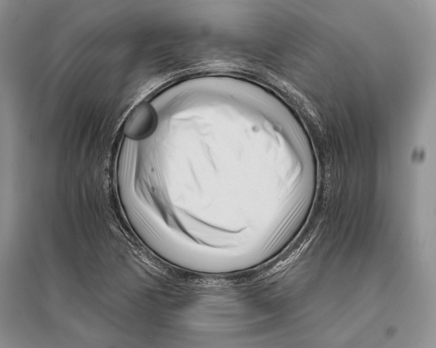 X0000096201170200802151519